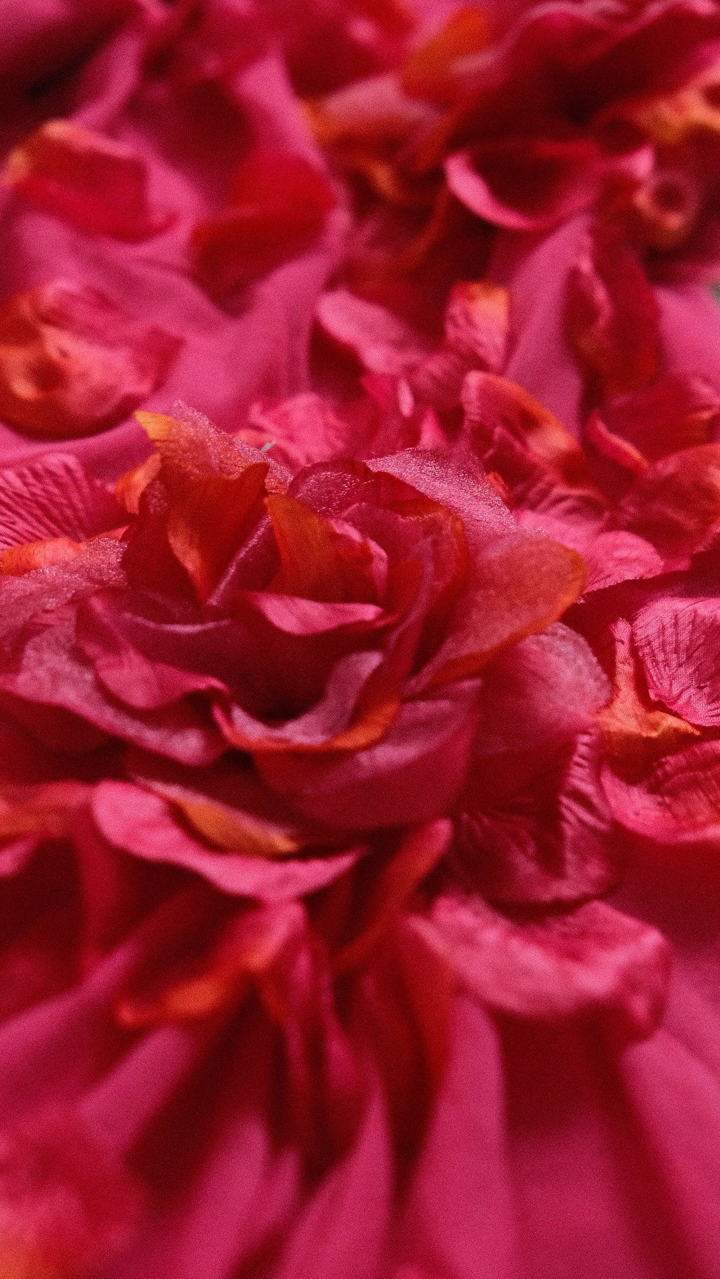 Rosefall blossom dress (M)