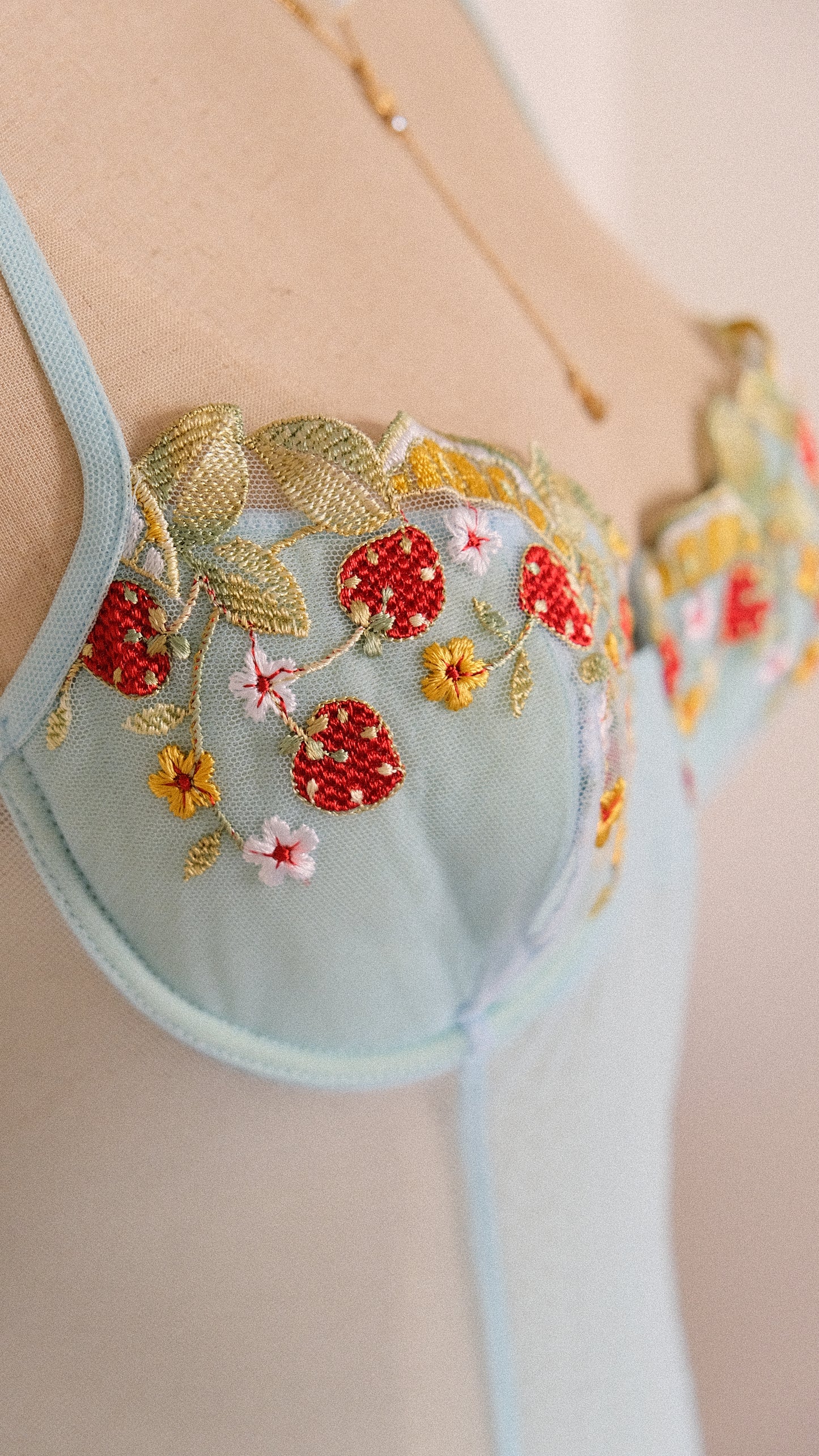 Srawberry skies corset (80B/36B)