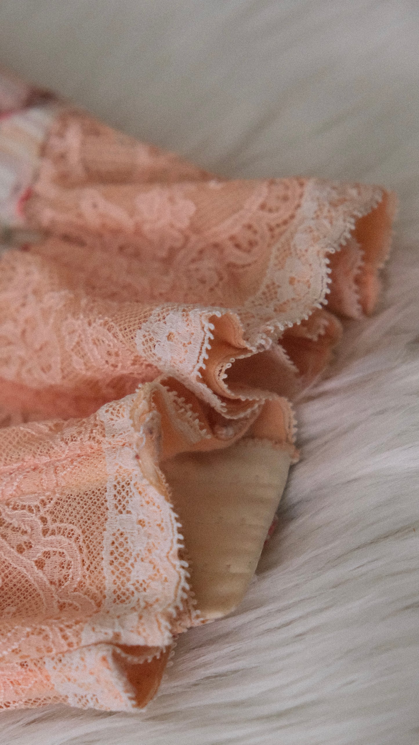 Chantal Thomass peachy floral corset (34C/75C)