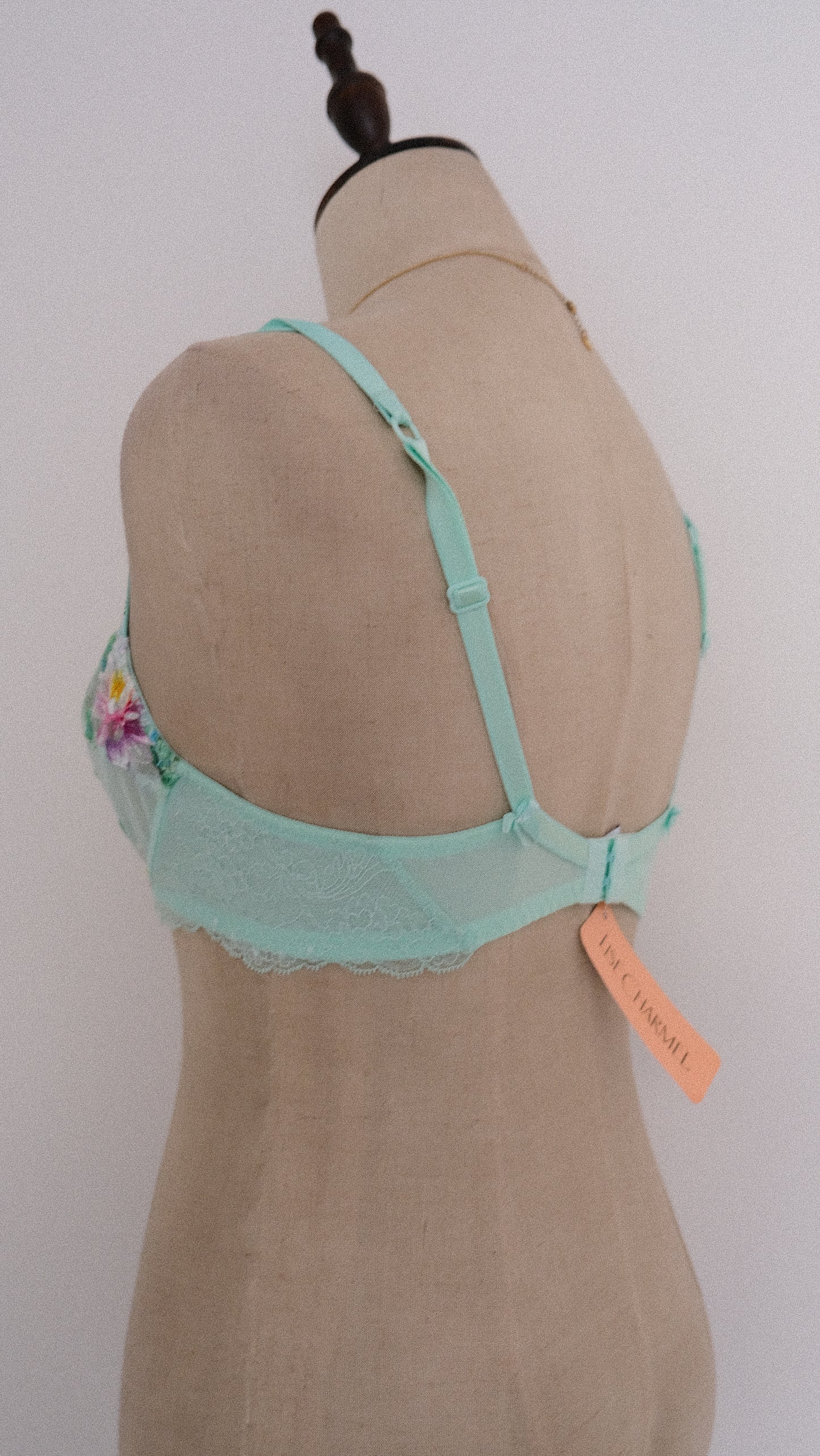 French NWT Fairytale bra (70D/32D)