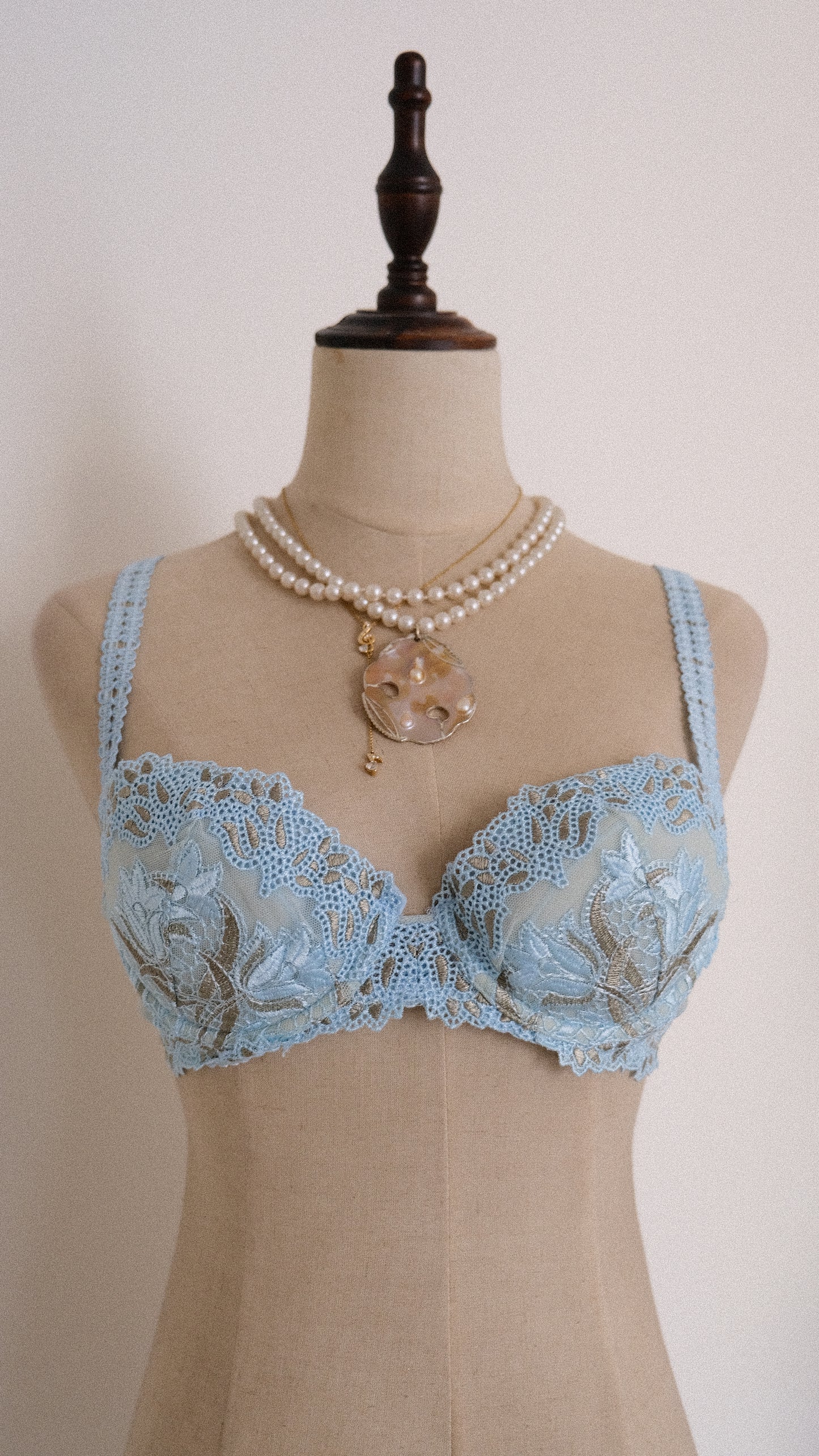 Siren Dentelle bra (75B/34B)