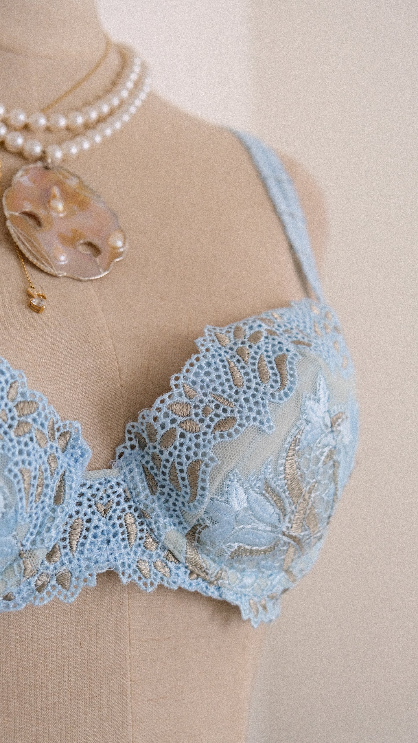 Siren Dentelle bra (75B/34B)