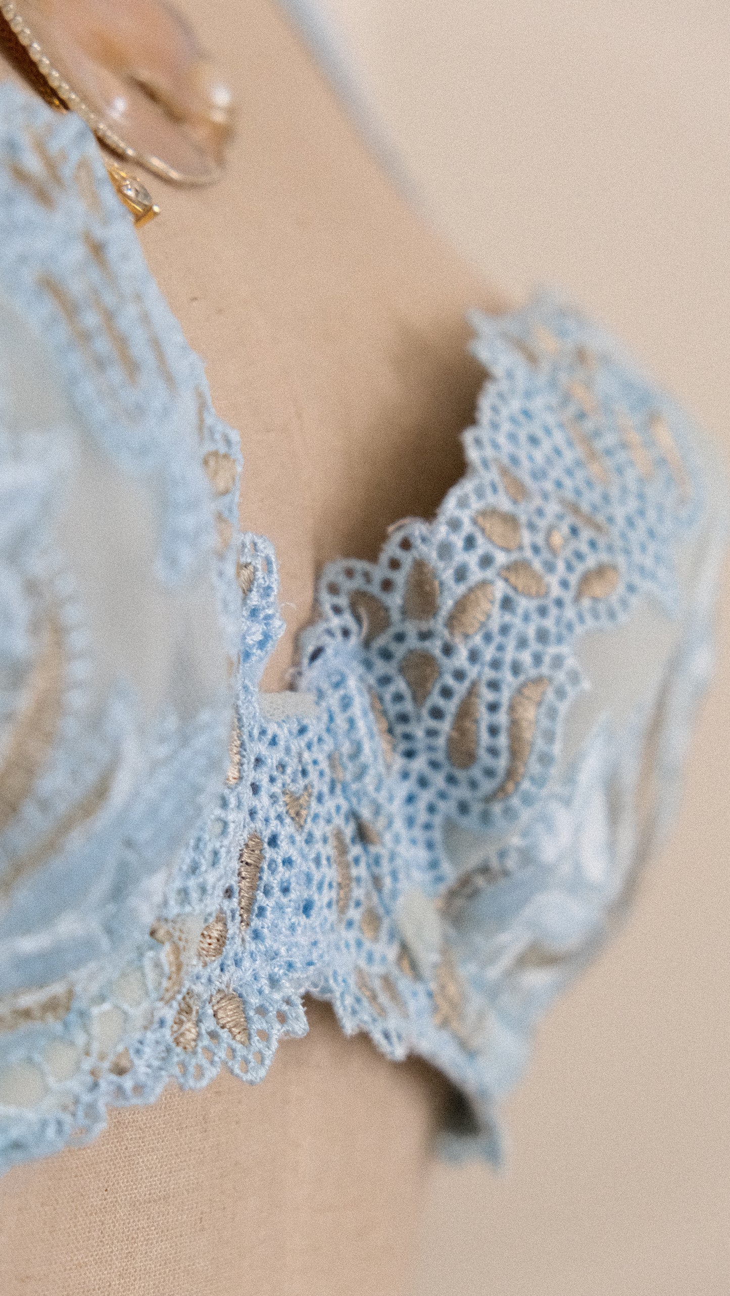 Siren Dentelle bra (75B/34B)