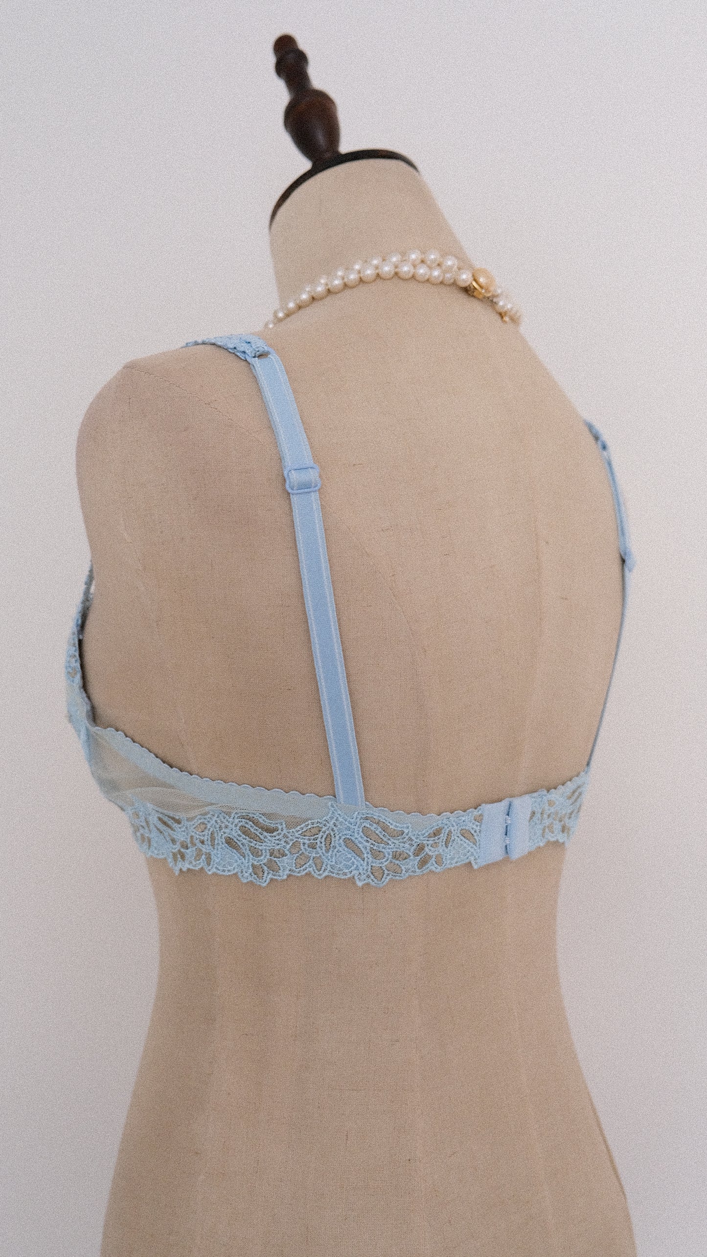 Siren Dentelle bra (75B/34B)