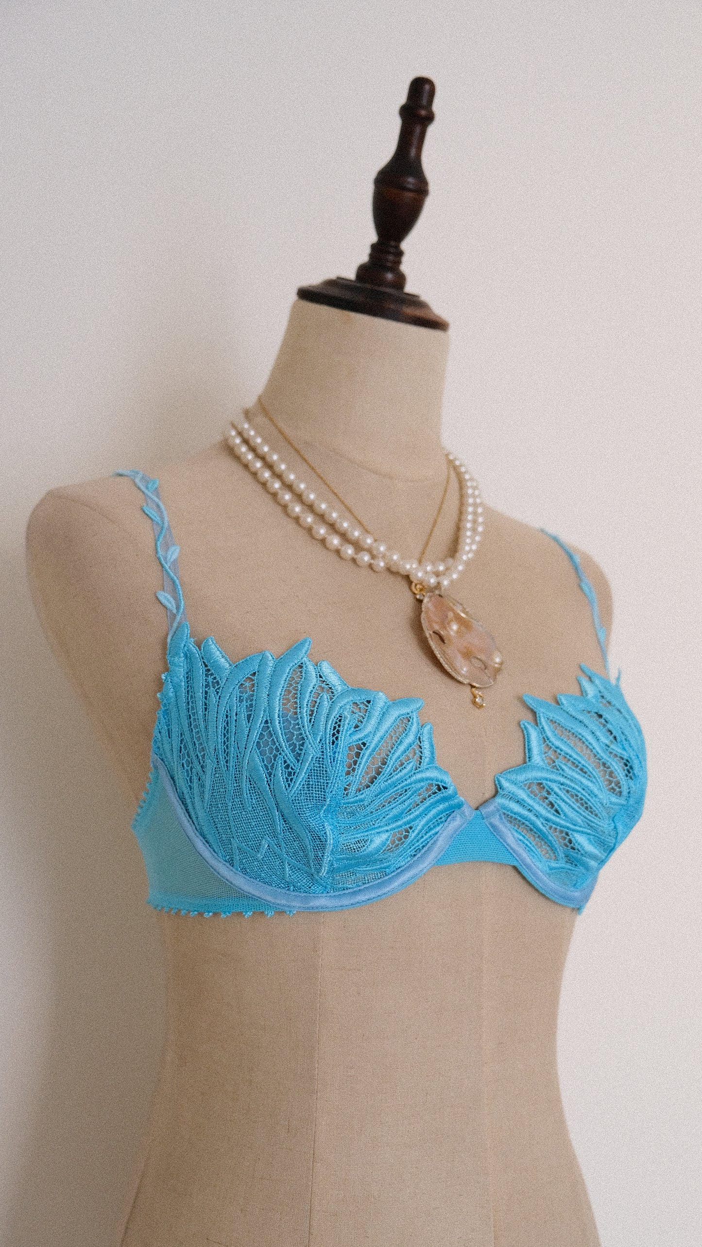 Vintage French Swan bra (70C/32C)