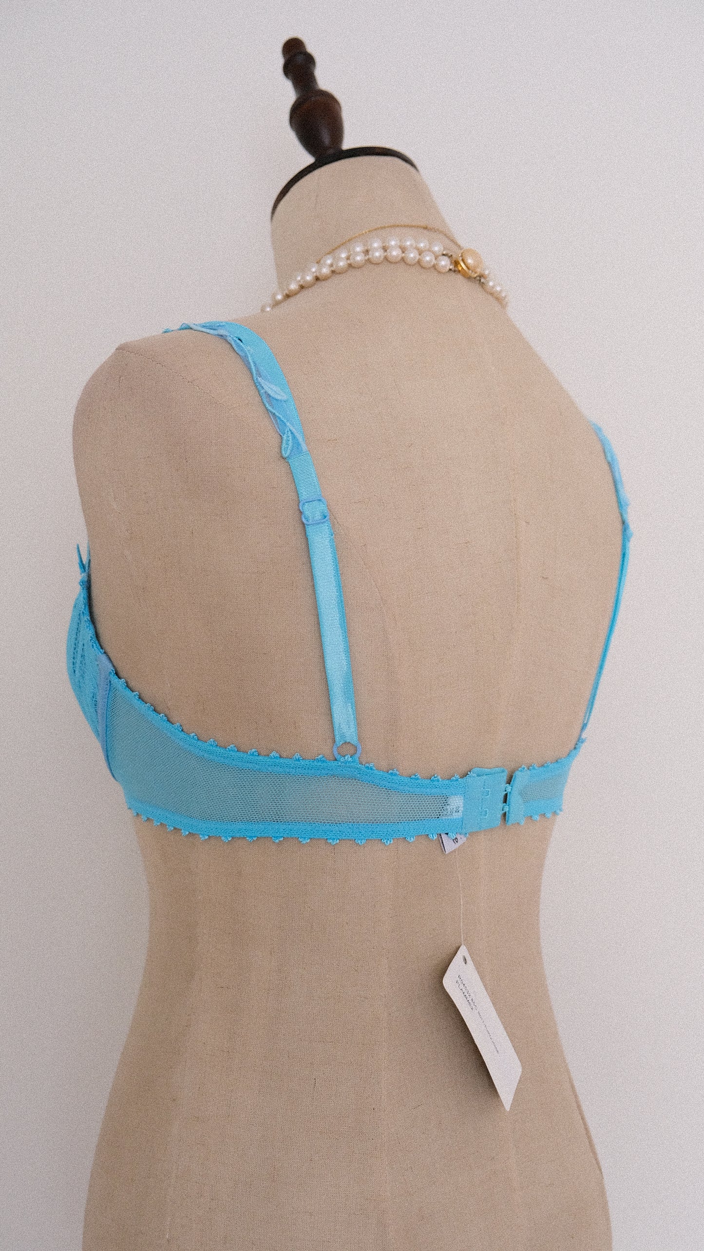 Vintage French Swan bra (70C/32C)