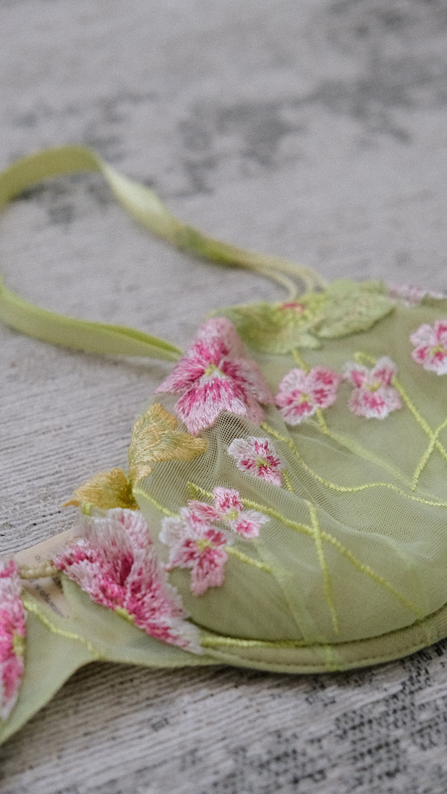 Italian Fae NWT 2 piece lingerie set (80C/36C, L)