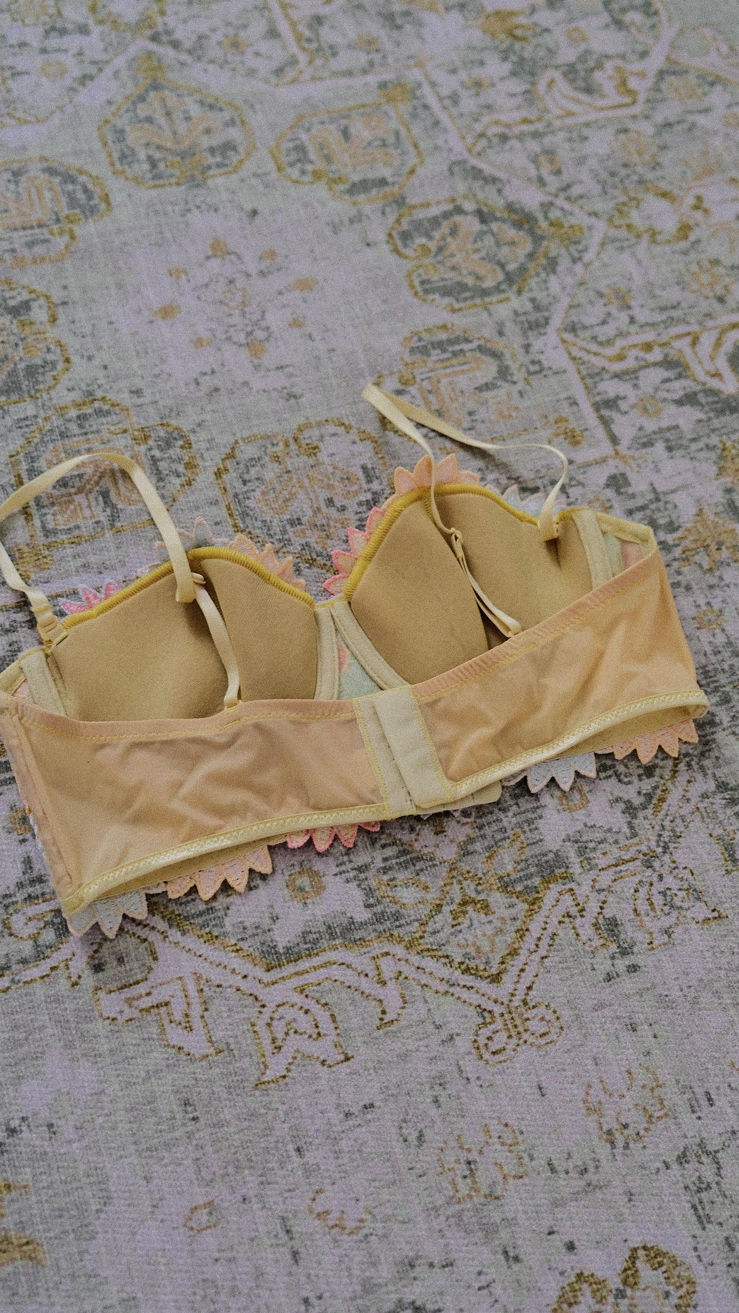 Vintage French Floral balconette (75B/34B)