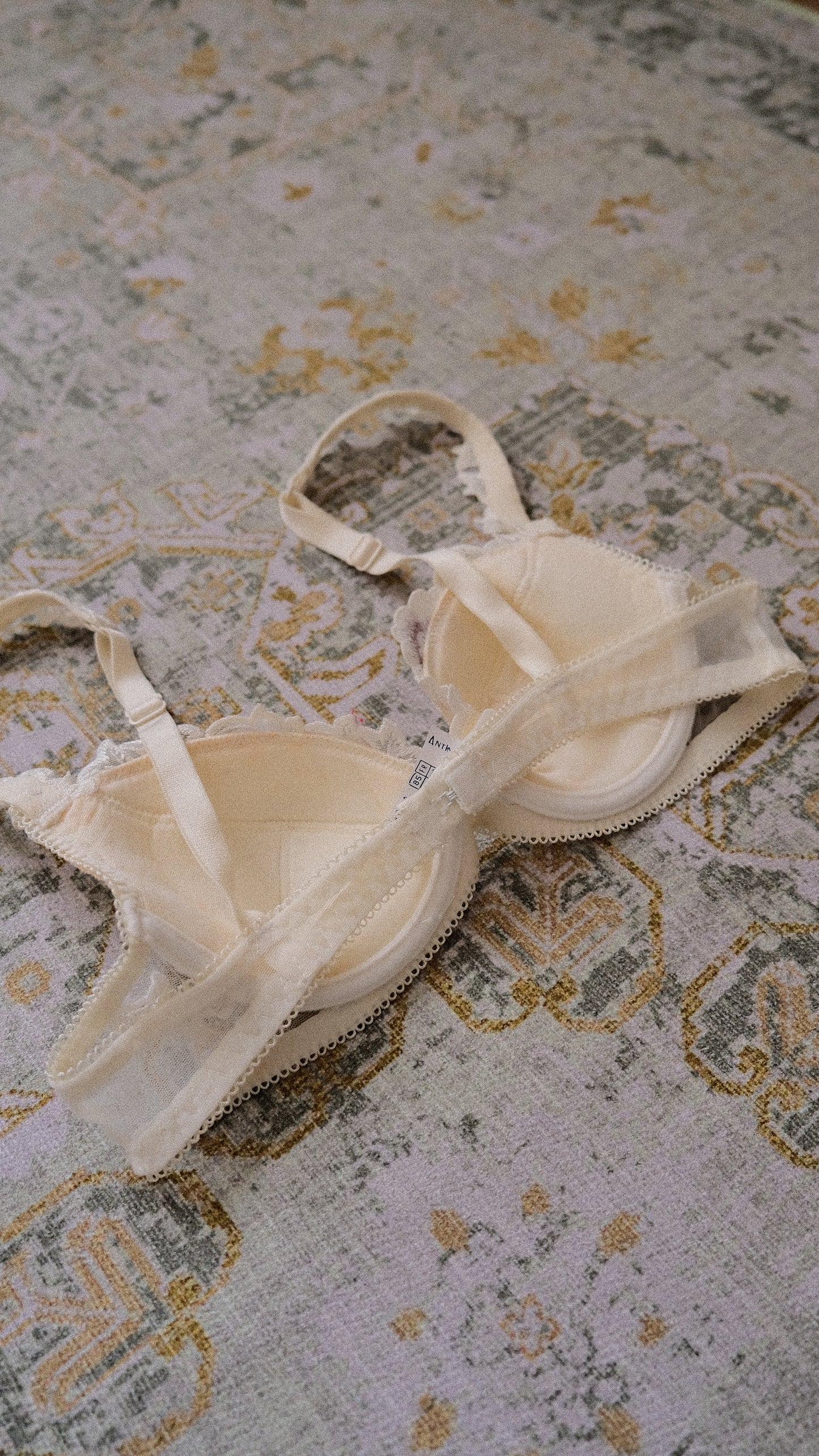 Fairytale Wisteria Floral bra (70A/32A)