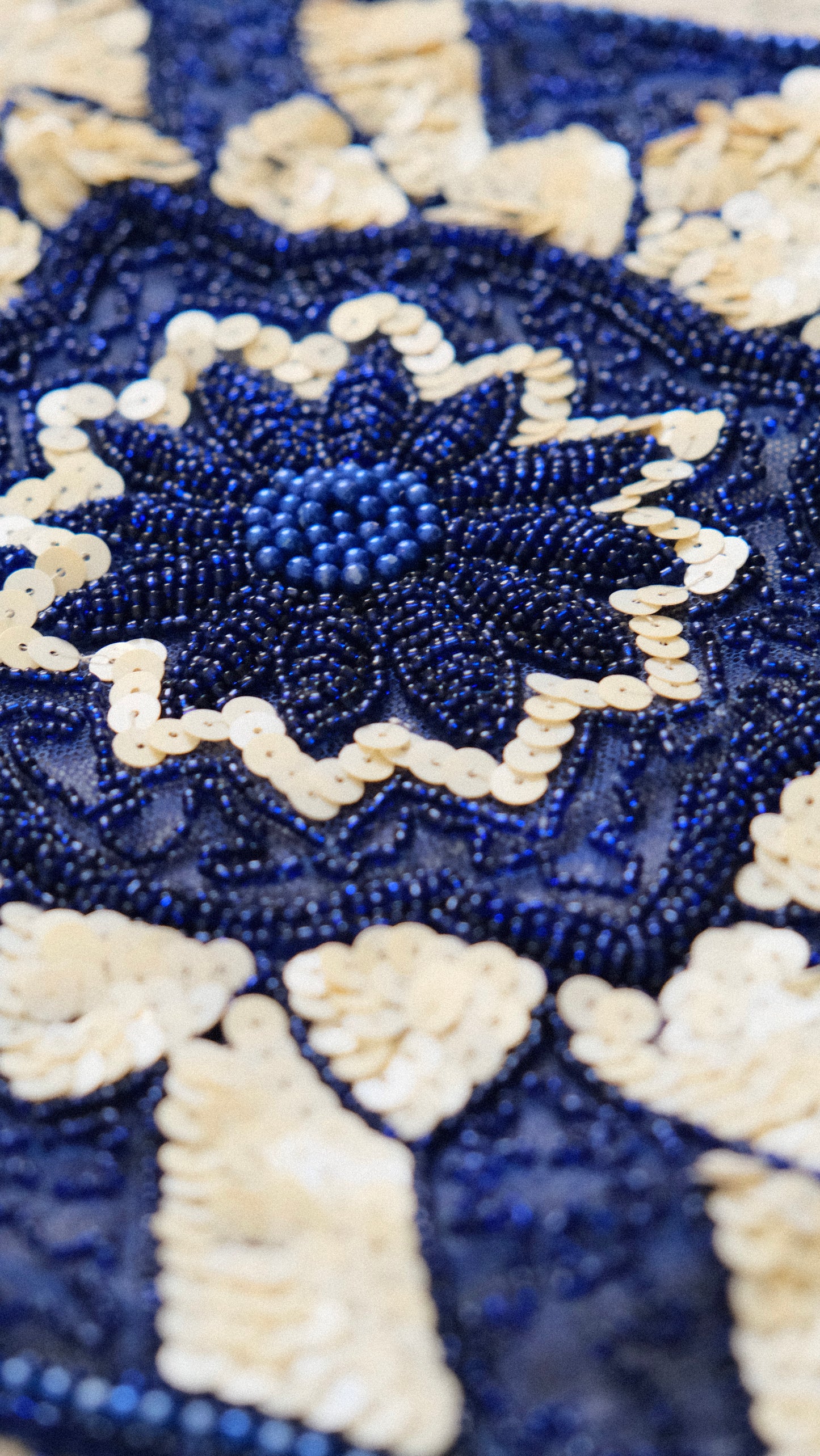 Starflower Charm sequin top