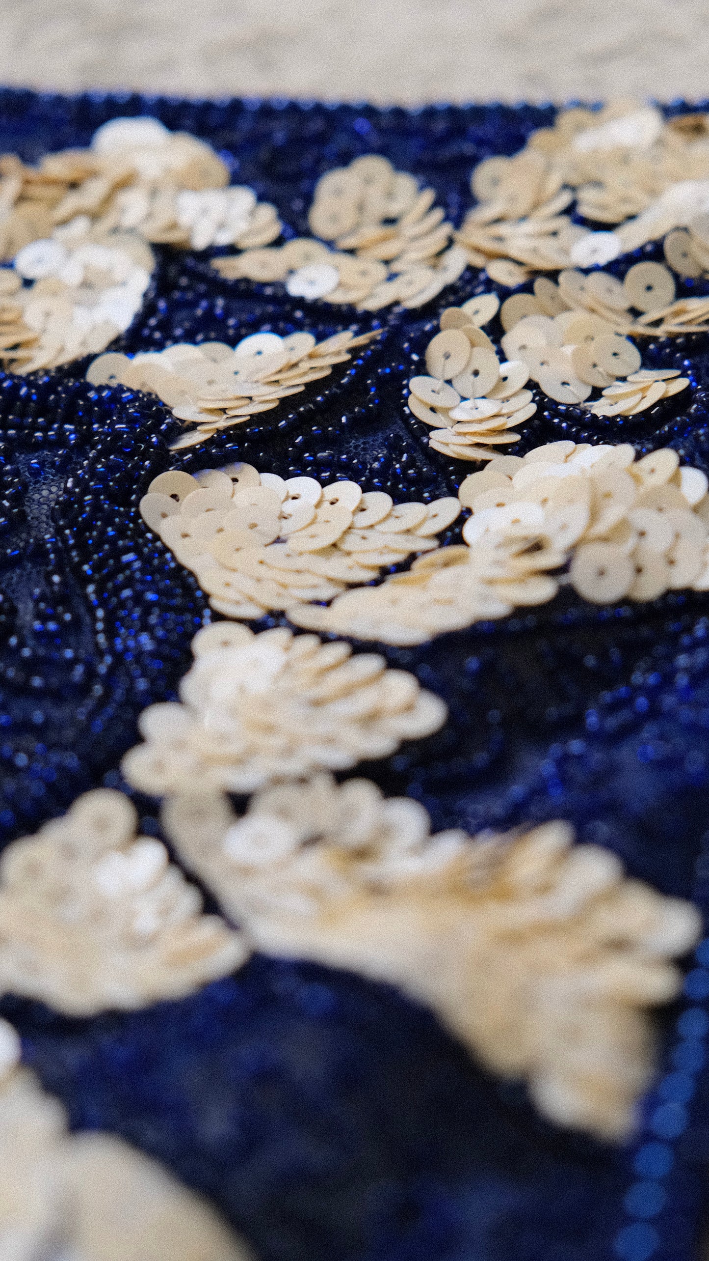 Starflower Charm sequin top