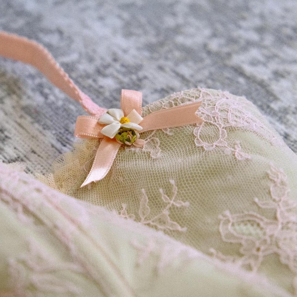 Chantal Thomass meadow corset (80D/36D)