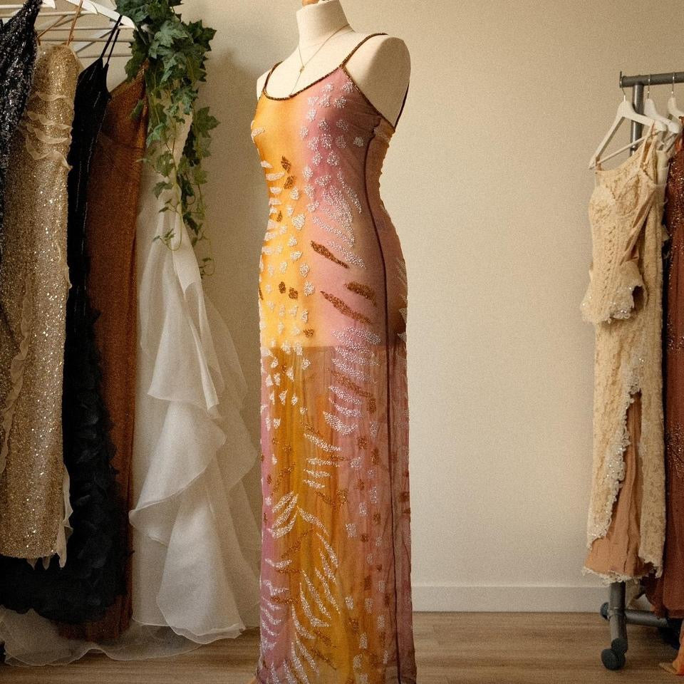A sunset serenade mesh dress (M)