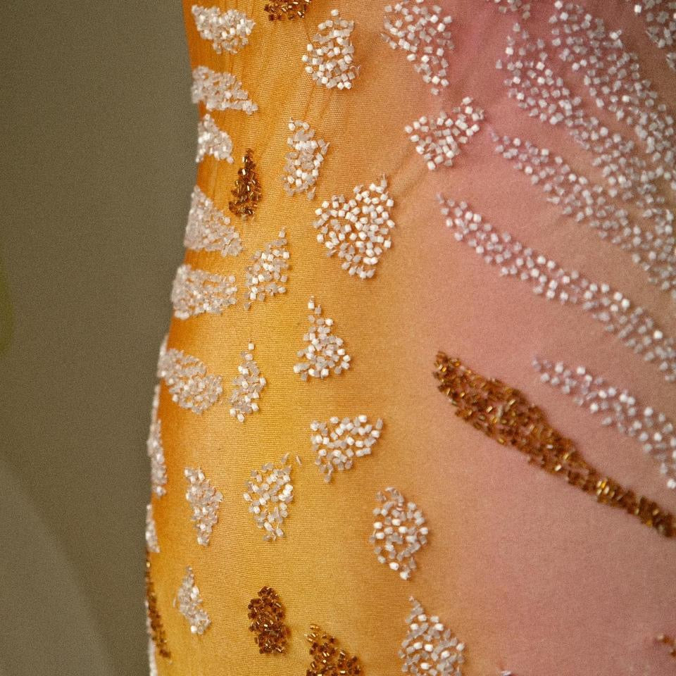 A sunset serenade mesh dress (M)