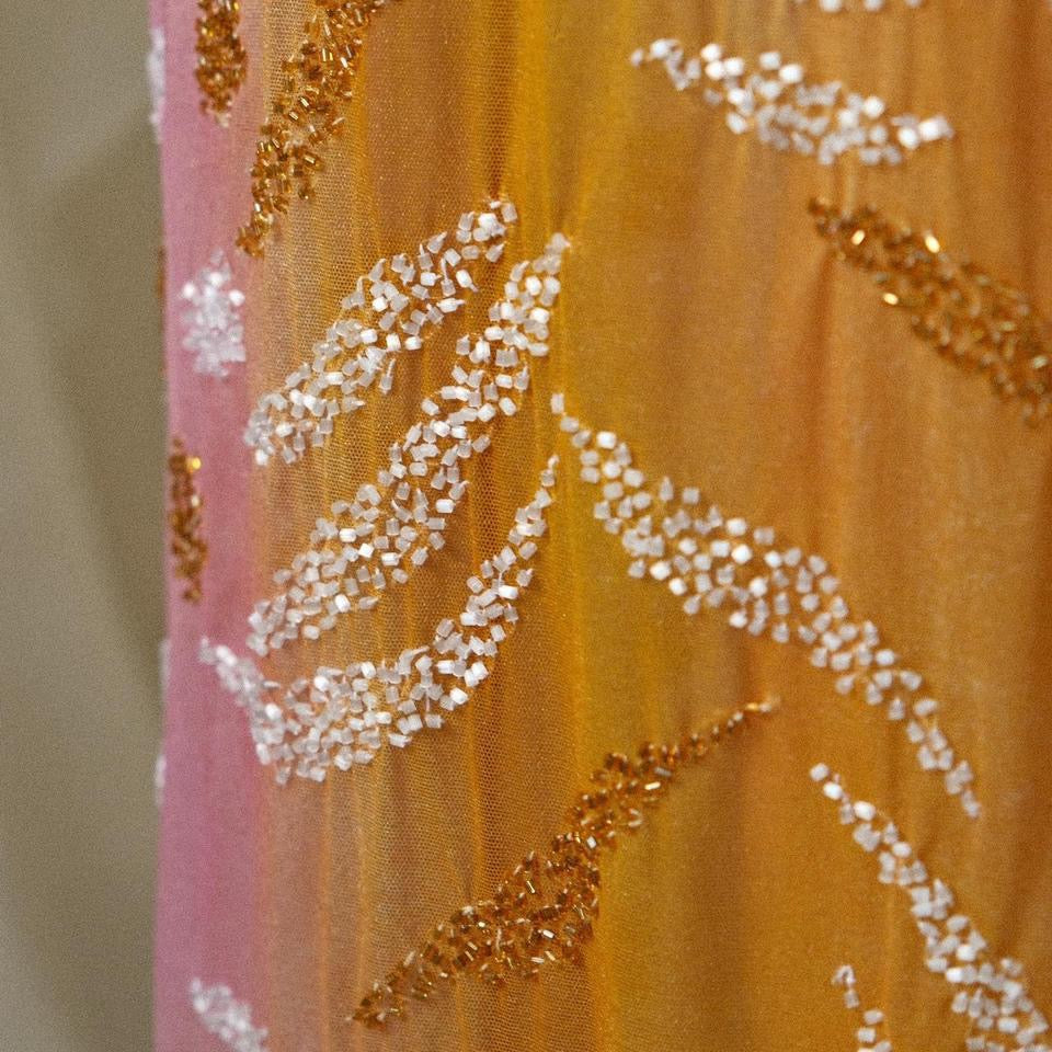 A sunset serenade mesh dress (M)