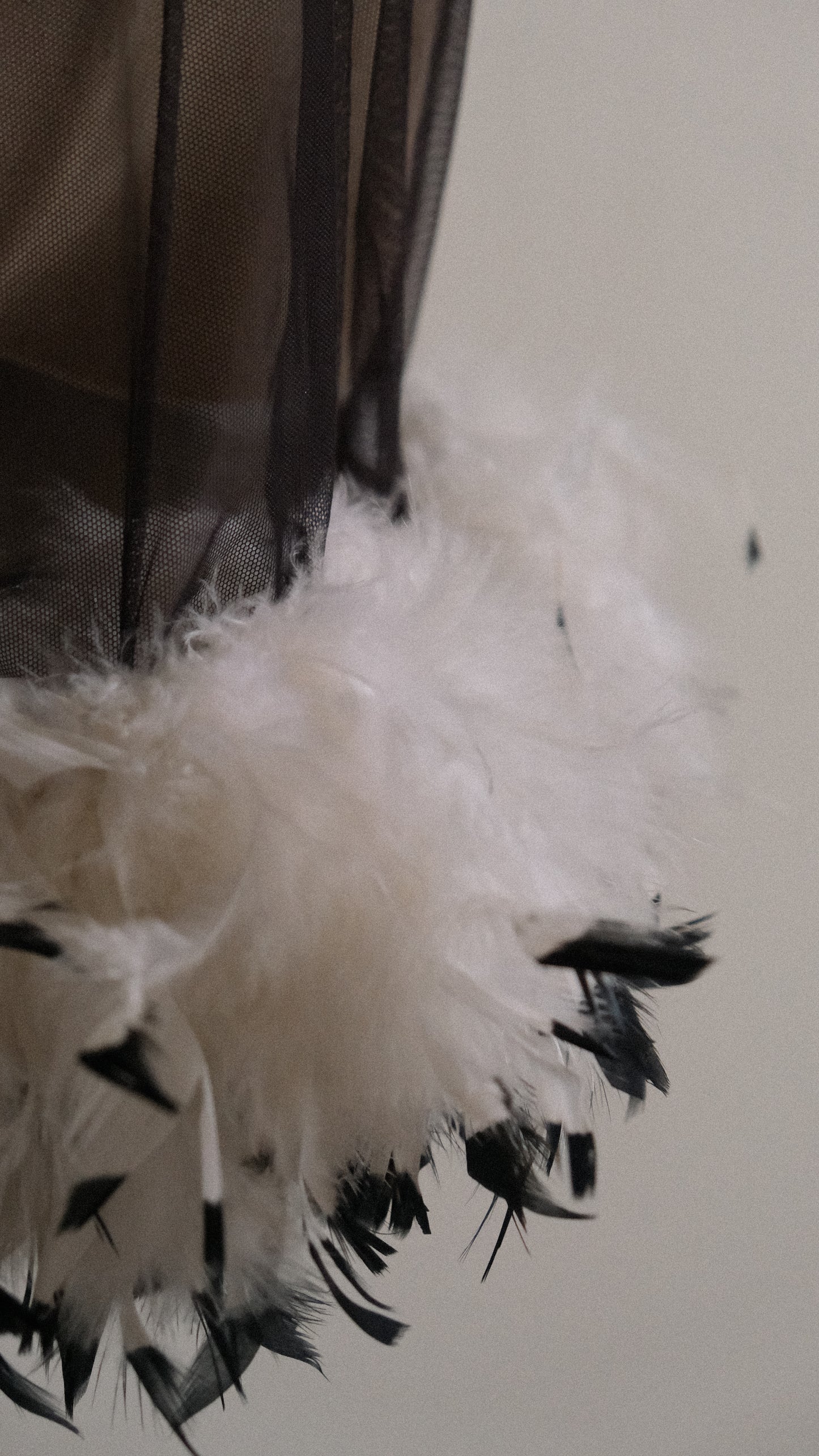 Sheer Feather French babydoll (L)