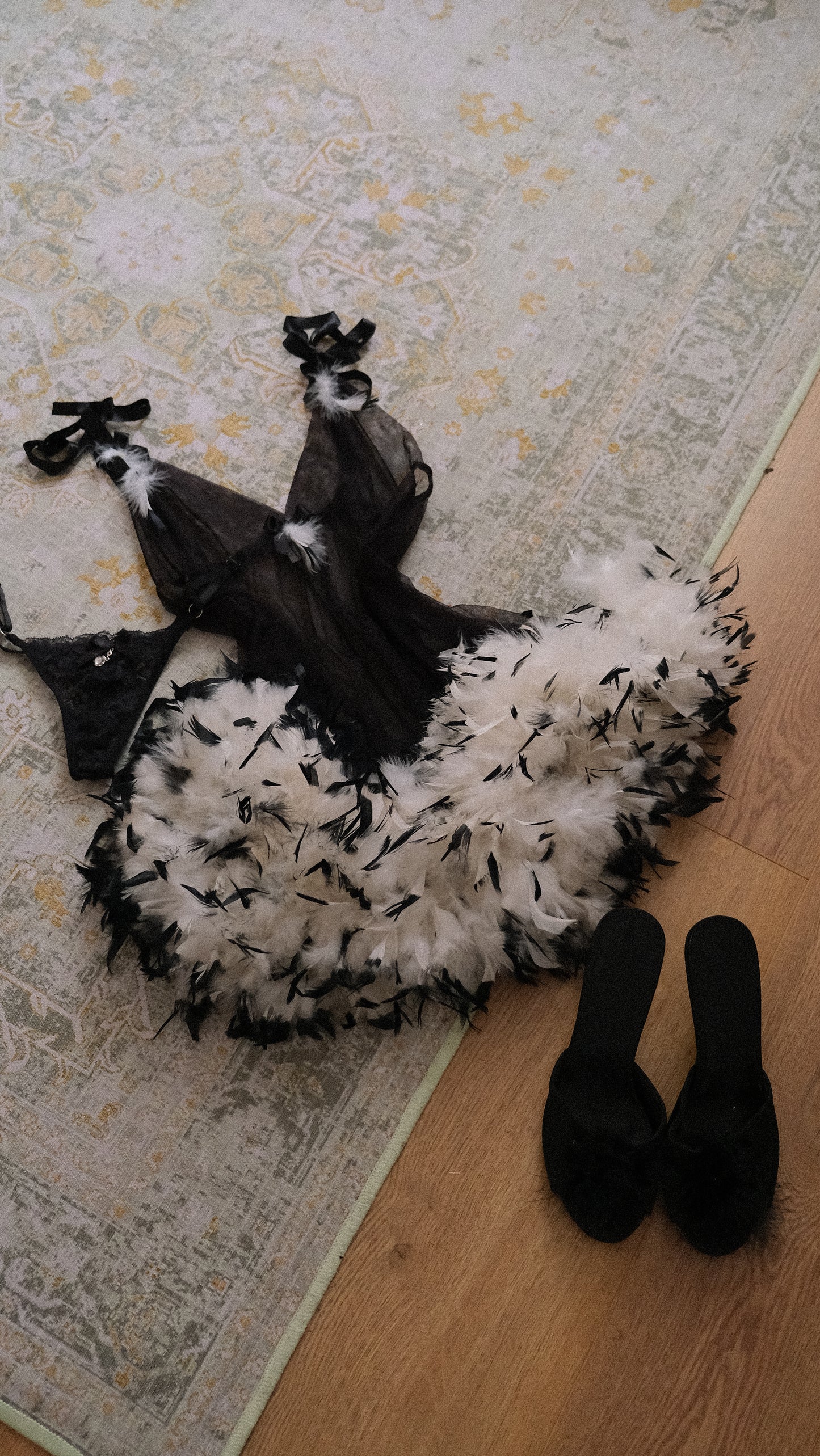 Sheer Feather French babydoll (L)