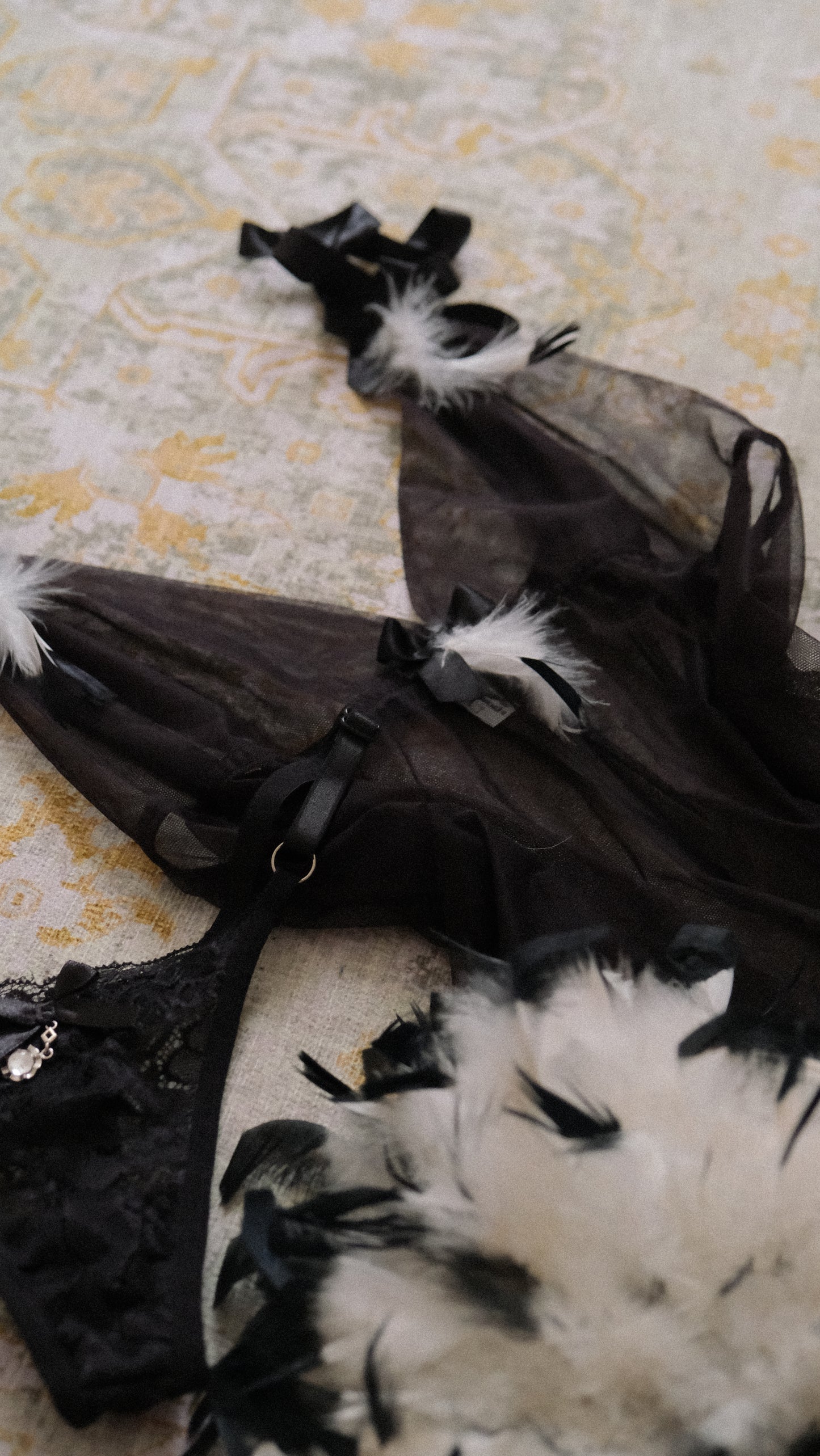 Sheer Feather French babydoll (L)