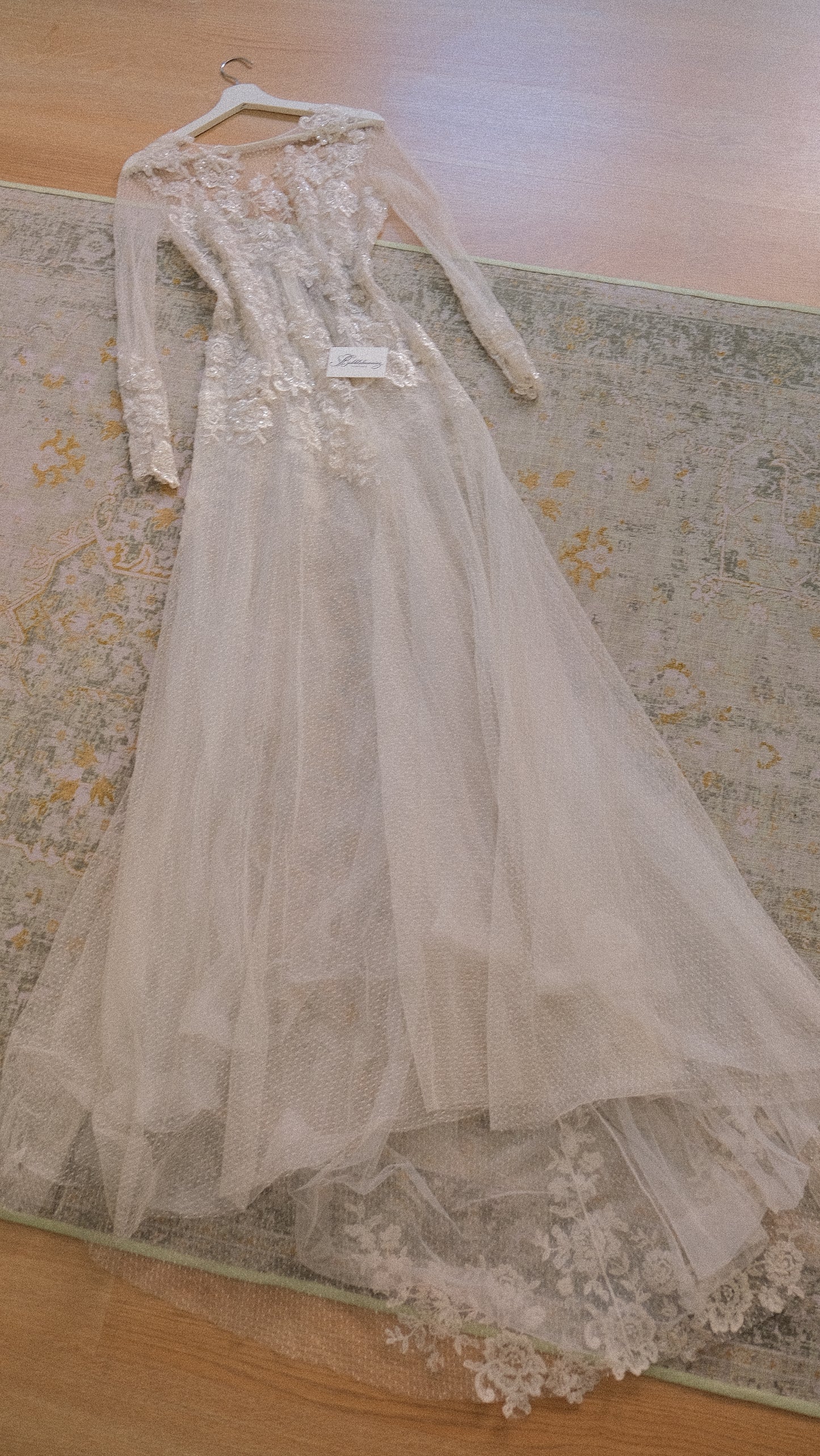 RARE Vintage sheer one of one bridal dress (S)