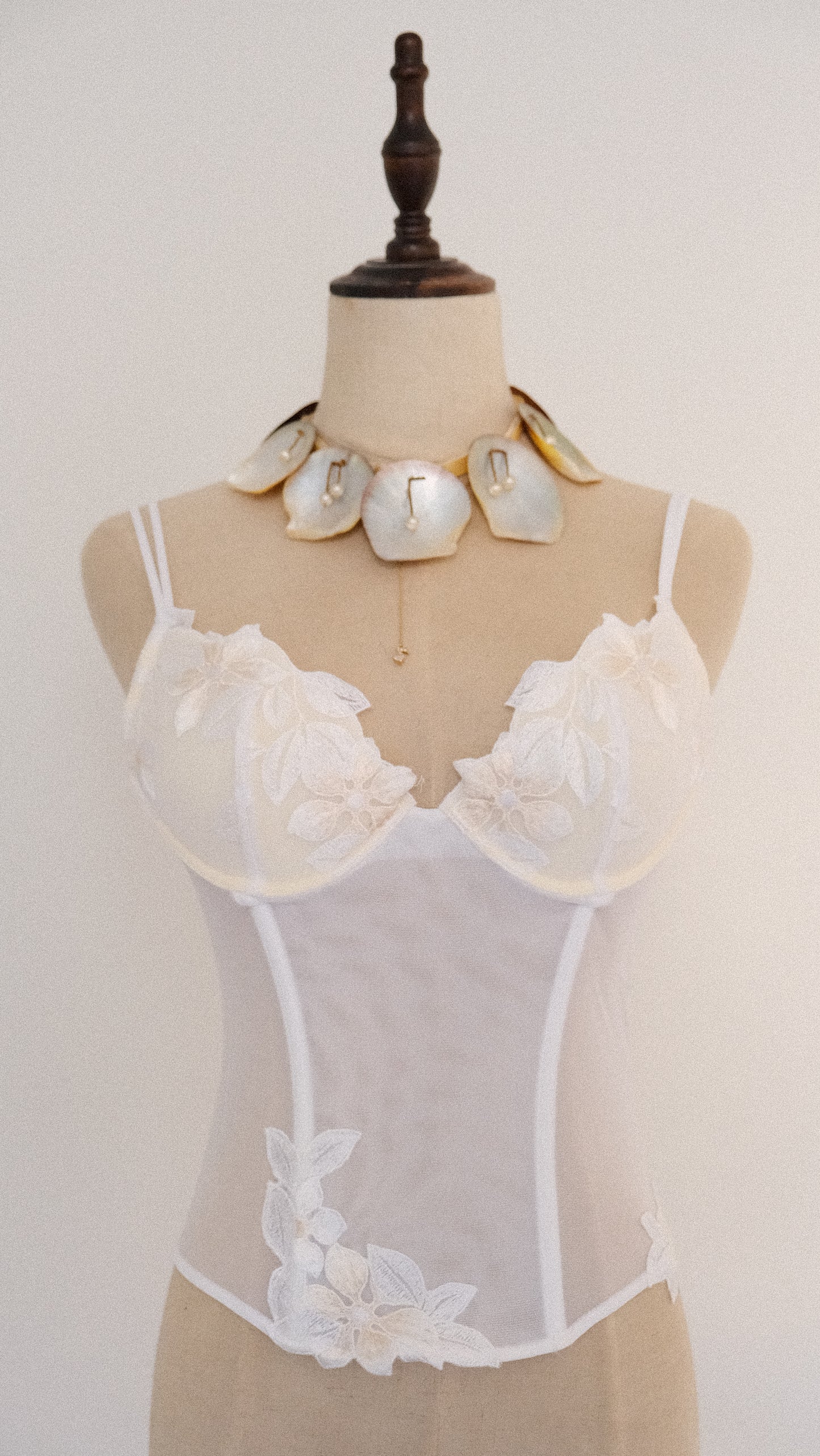Malizia Floral corset (80B/36B)