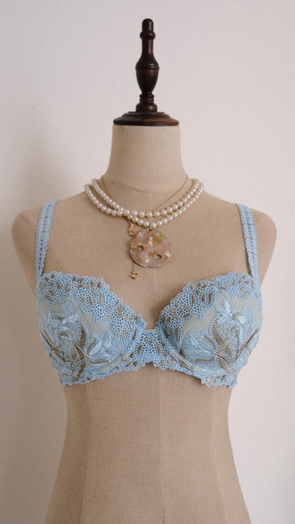 Siren Dentelle bra (75B/34B)