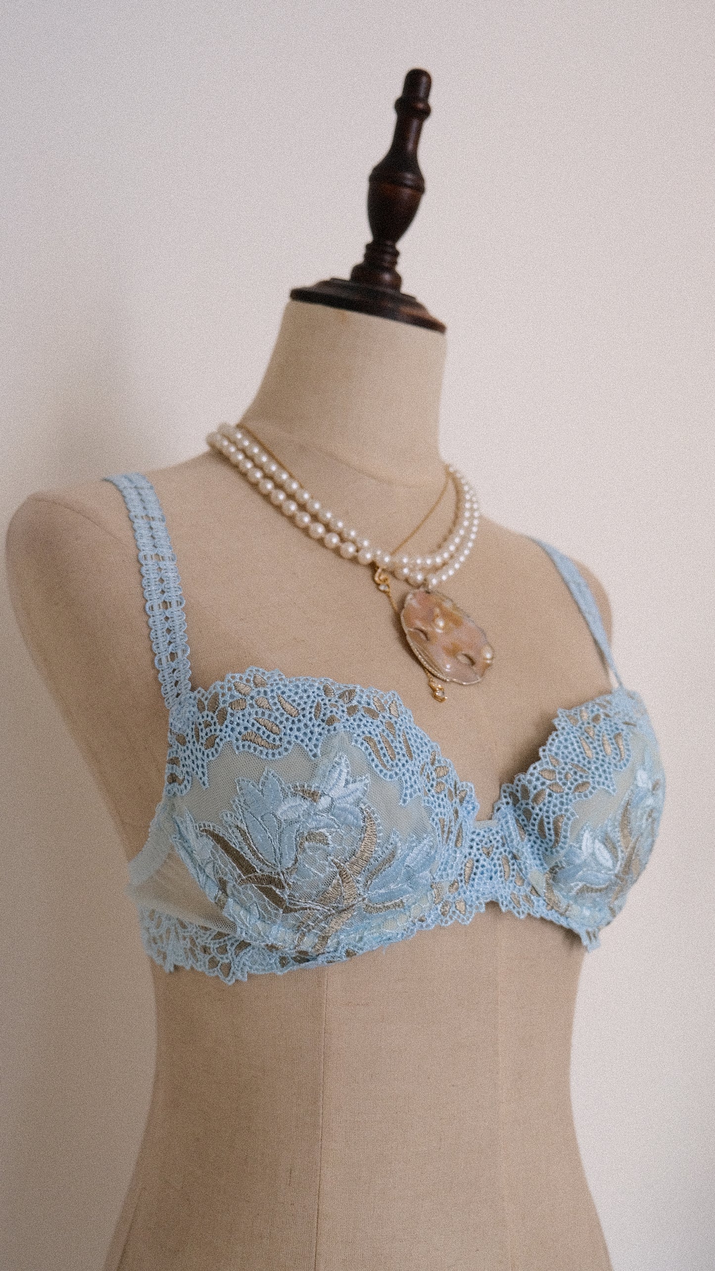 Siren Dentelle bra (75B/34B)