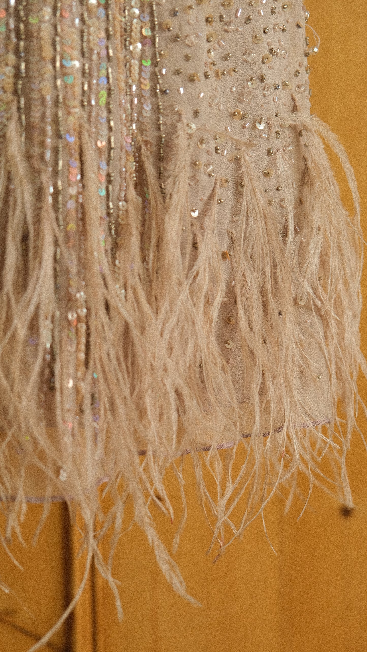 Vintage feather mini bustier dress