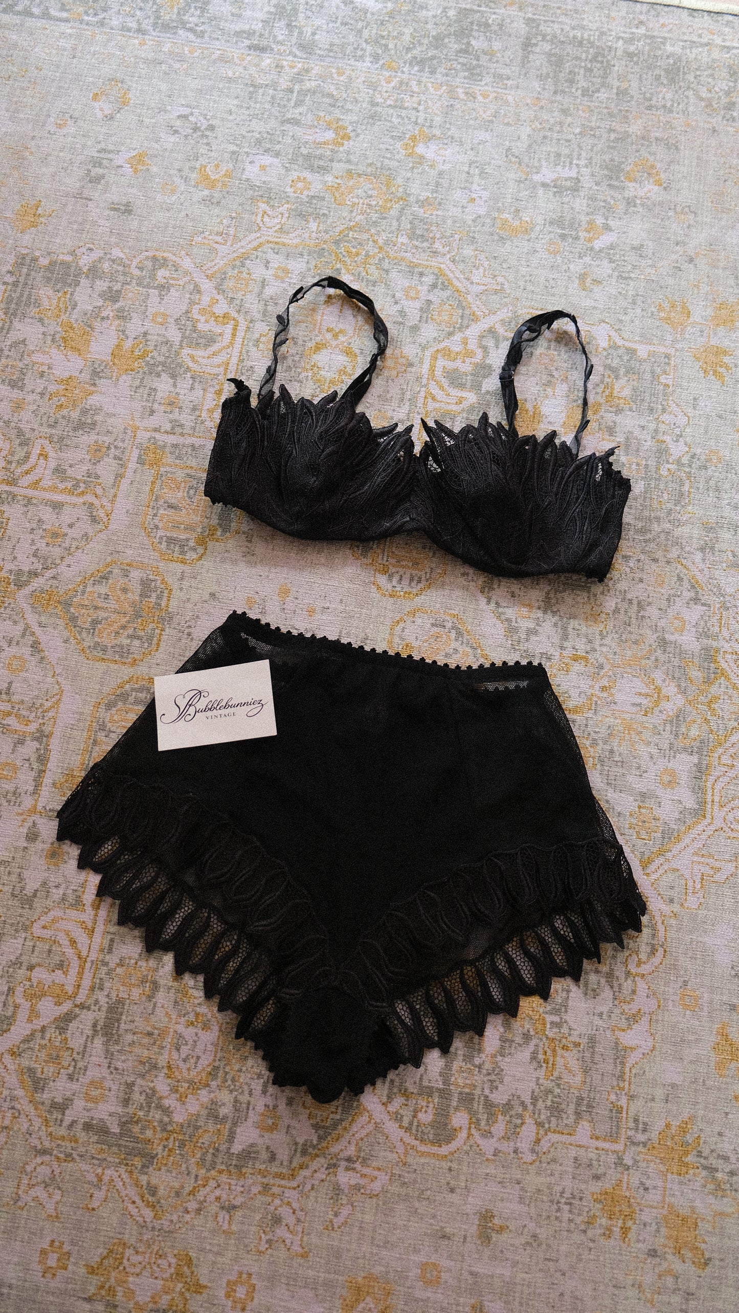 Vintage French swan lingerie set (36B/80B)
