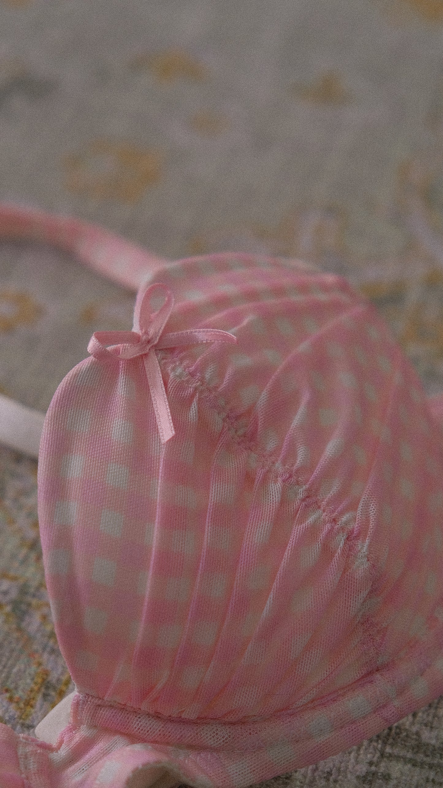 Chantal Thomass pink gingham bra (75A/34A)