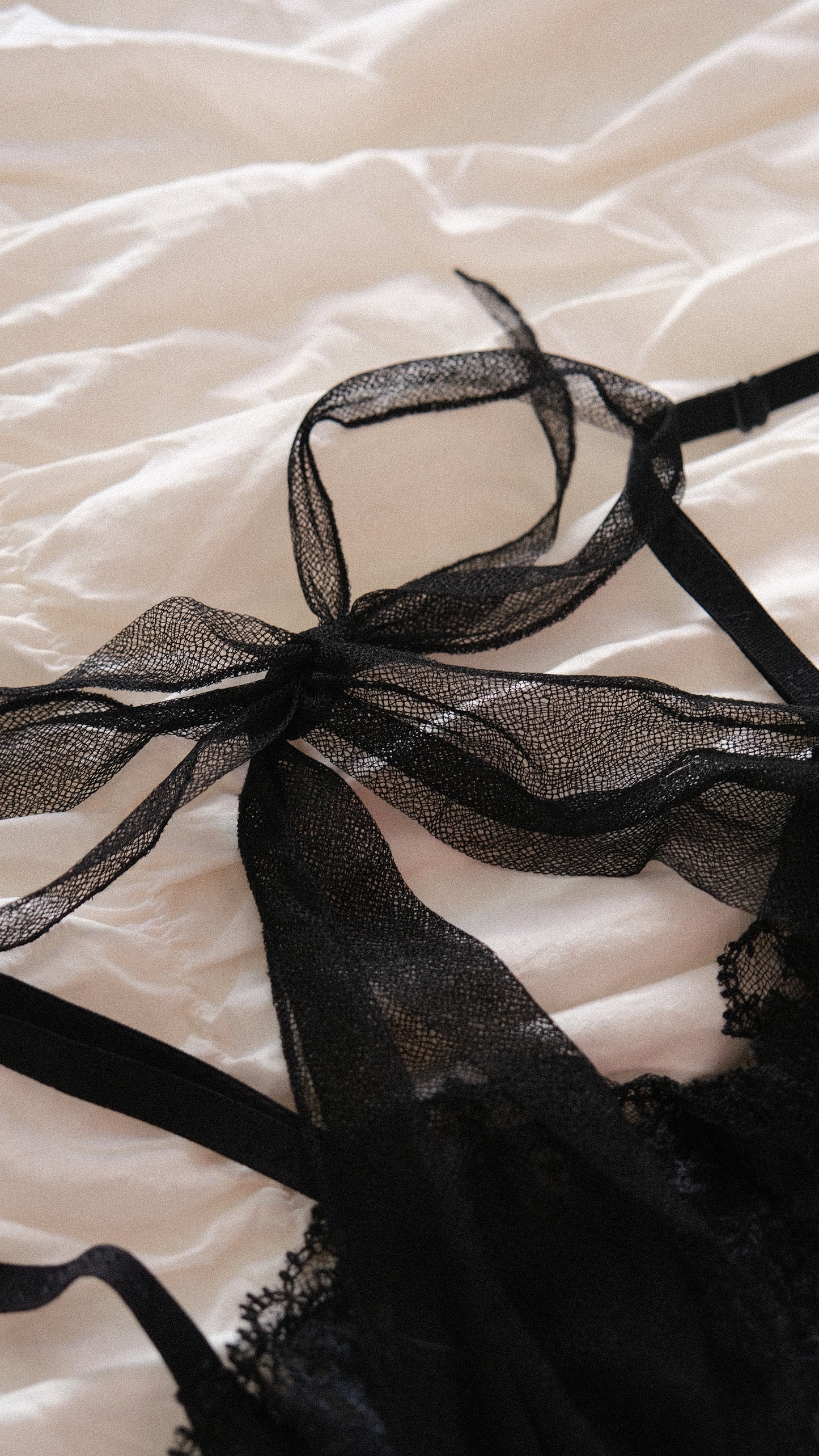 Vintage La Perla sheer ribbon bra (75B/34B)