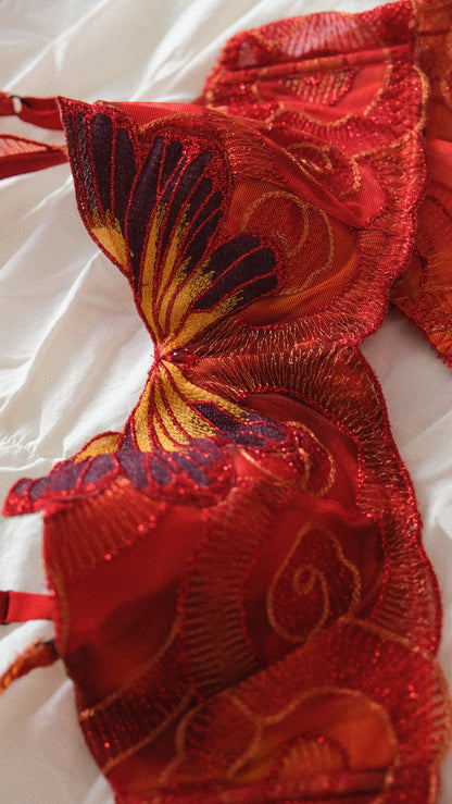 RARE Vintage French red butterfly lingerie set (75B/34B)