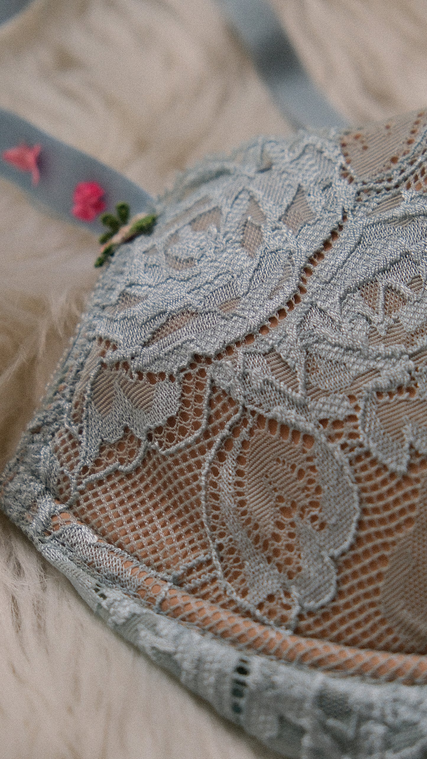 Vintage Chantal Thomass x Victoria’s Secret bra (36D/80D)