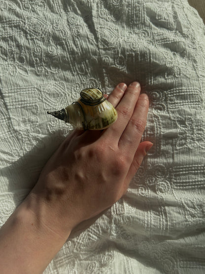 Vintage shell snuff box ring circa 1930