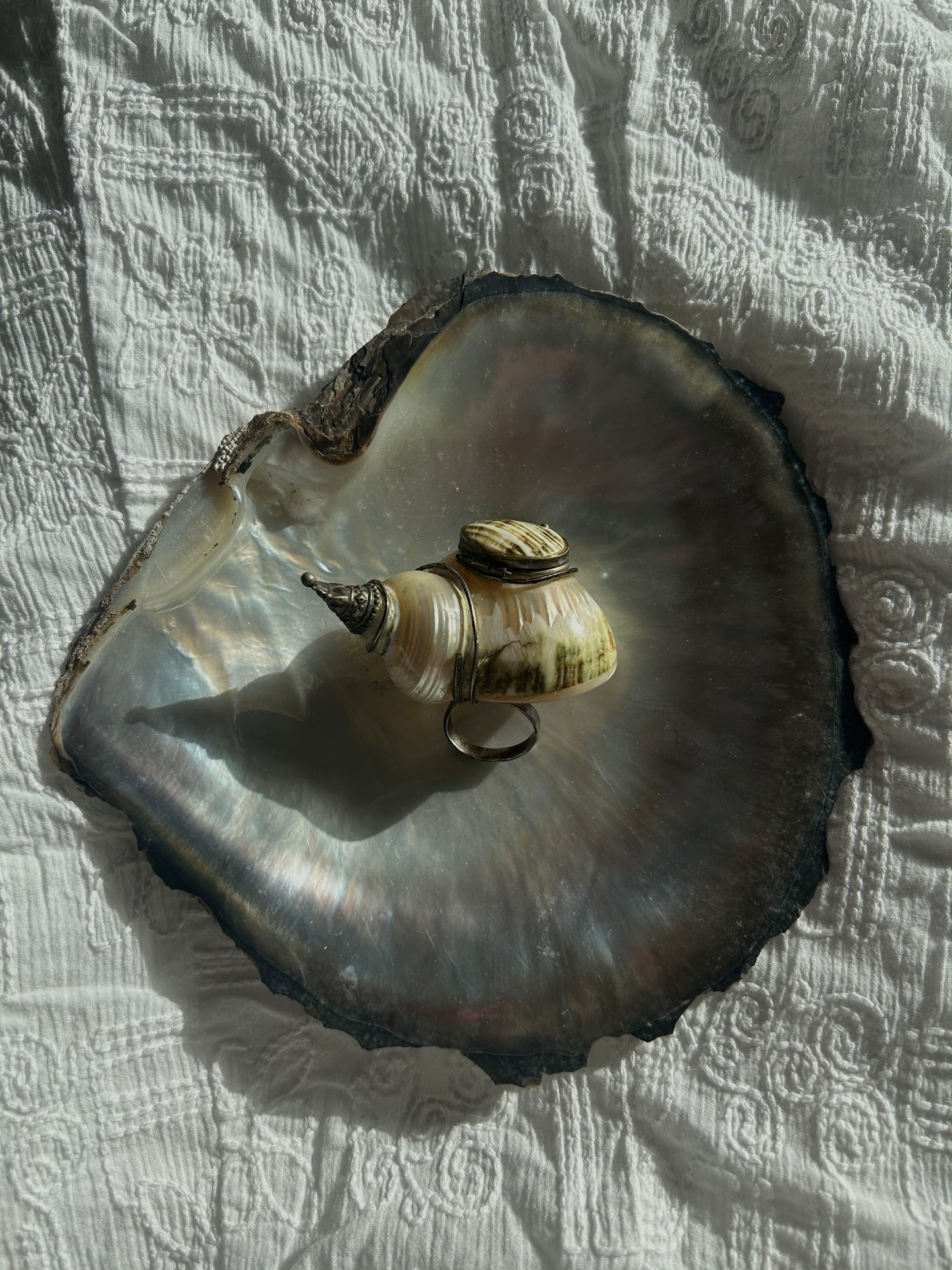 Vintage shell snuff box ring circa 1930