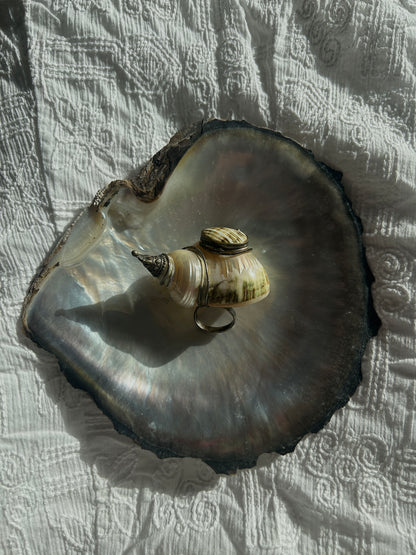 Vintage shell snuff box ring circa 1930