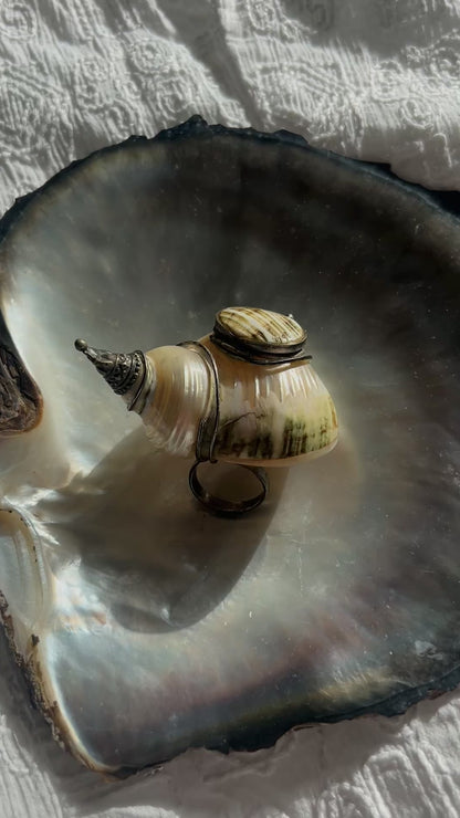 Vintage shell snuff box ring circa 1930